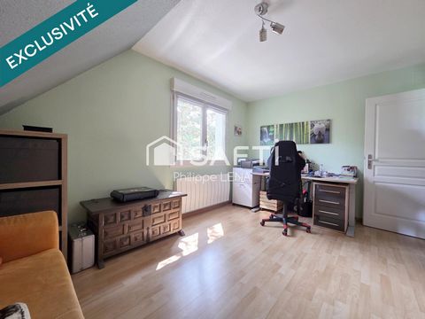 photo no. 11