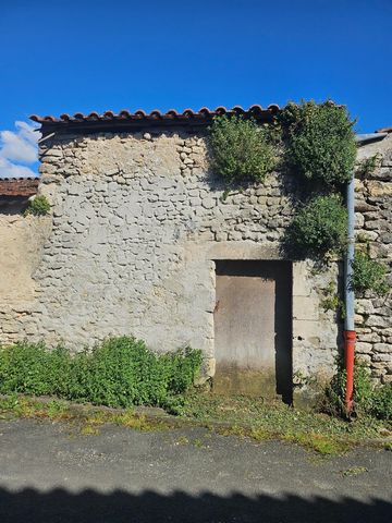 photo no. 13