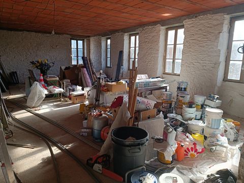 photo no. 17