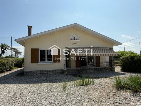 photo no. 13