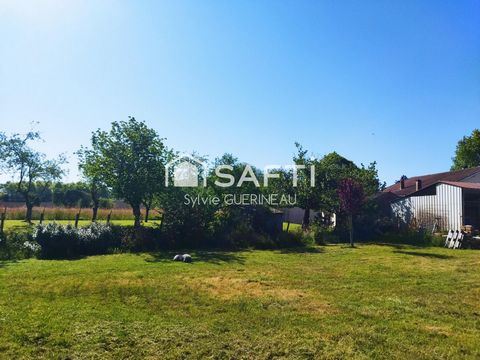photo no. 14