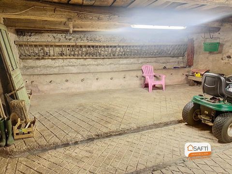 photo no. 10