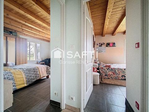 photo no. 5