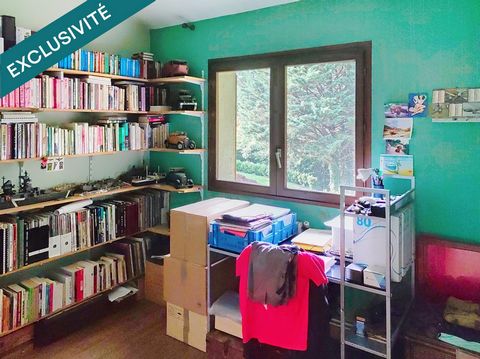 photo no. 12