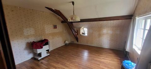 photo no. 11