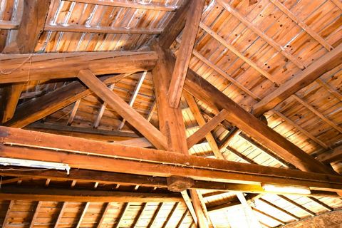 photo no. 12