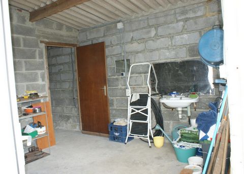 photo no. 12