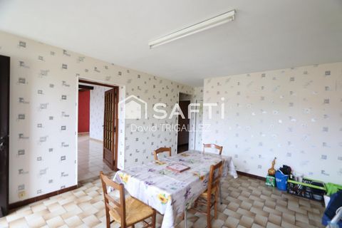 photo no. 3
