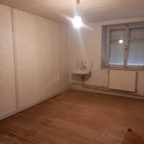 photo no. 11