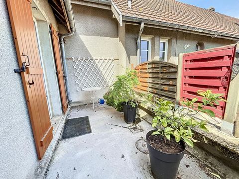 photo no. 11