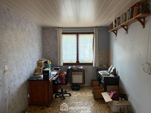 photo no. 4