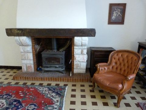 photo no. 8