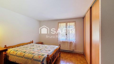 photo no. 11