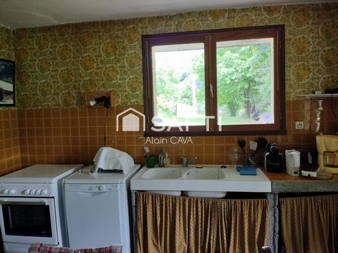 photo no. 6