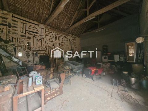photo no. 8