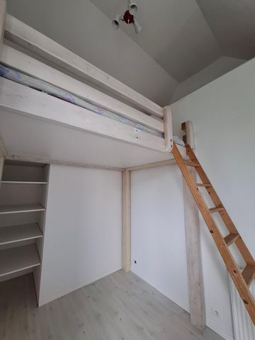 photo no. 11