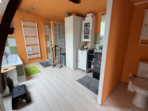 photo no. 12