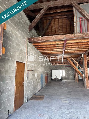 photo no. 6