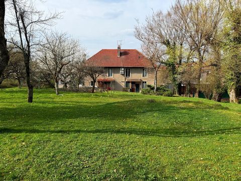 photo no. 1