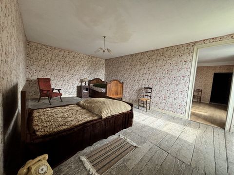 photo no. 4