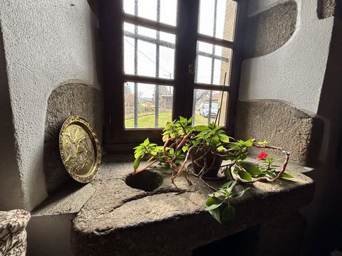 photo no. 6