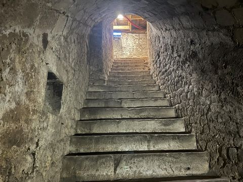 photo no. 16