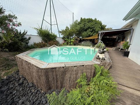photo no. 15