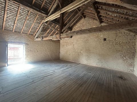 photo no. 5