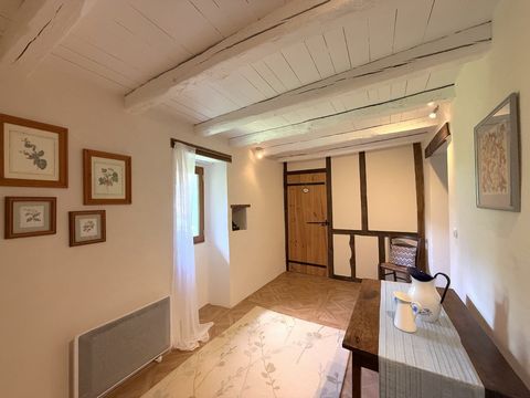 photo no. 19