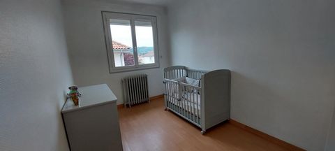 photo no. 7