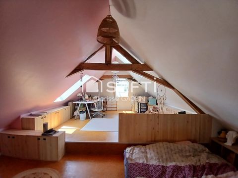 photo no. 6