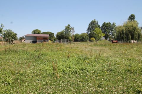 photo no. 1