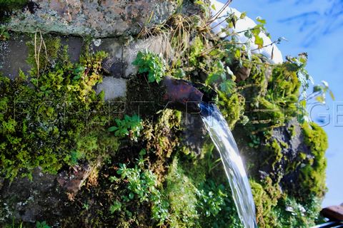 photo no. 10