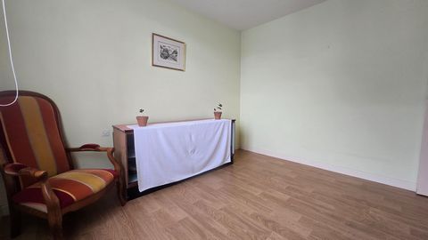 photo no. 8
