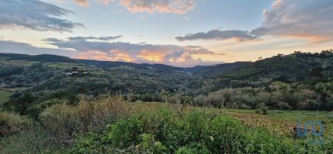 ### Terreno Rústico em Mafra: Seu Refúgio de Tranquilidade com Vista Deslumbrante Se você está à procura de um terreno rústico com uma vista de tirar o fôlego, acaba de encontrar! Localizado na pitoresca Barreiralva, este terreno fica a apenas 6 minu...