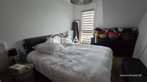 photo no. 7