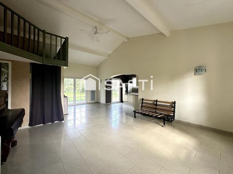 photo no. 6