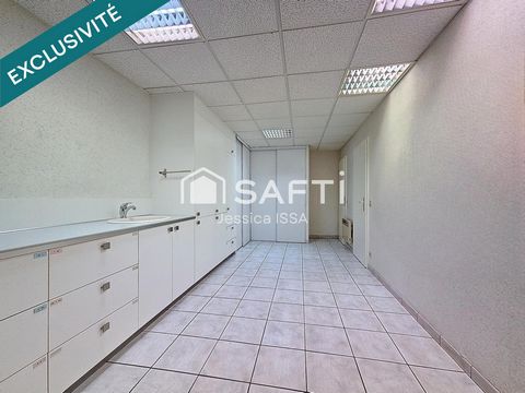 photo no. 6