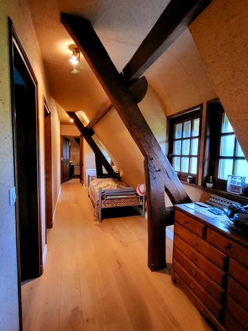 photo no. 12