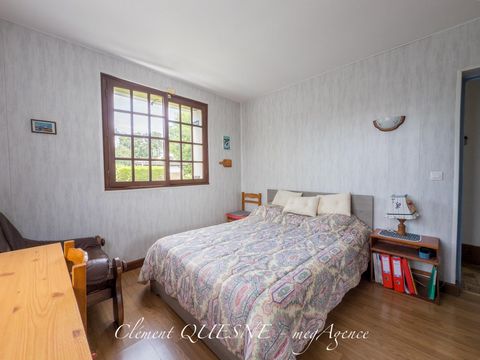photo no. 10