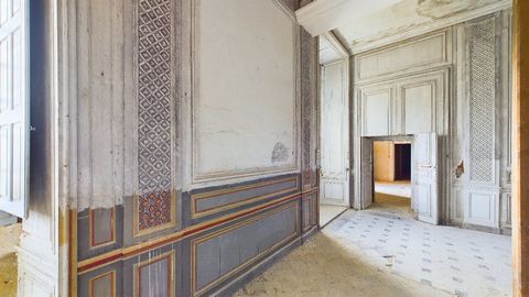 photo no. 8