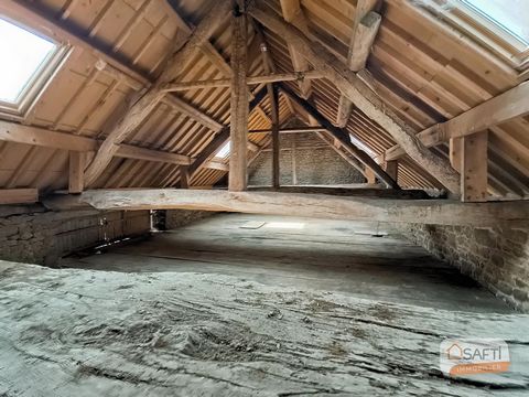 photo no. 13