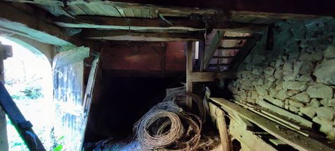 photo no. 11
