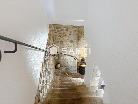 photo no. 6