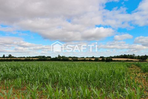 photo no. 11