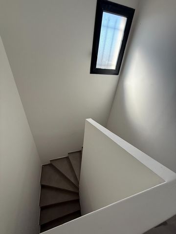 photo no. 4