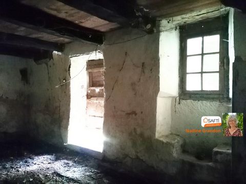 photo no. 4