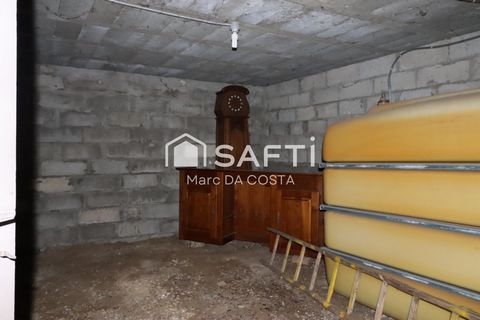 photo no. 11