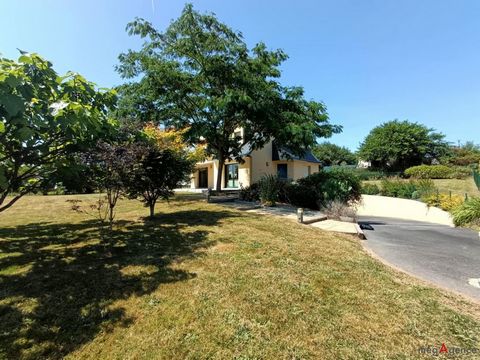 photo no. 16