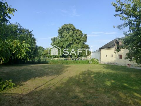 photo no. 11